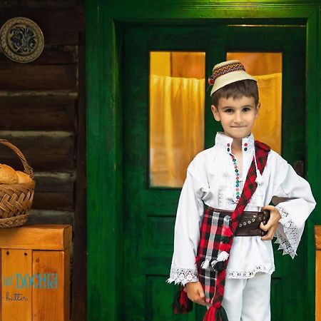 Casa Morosenilor - Breb Villa Kültér fotó